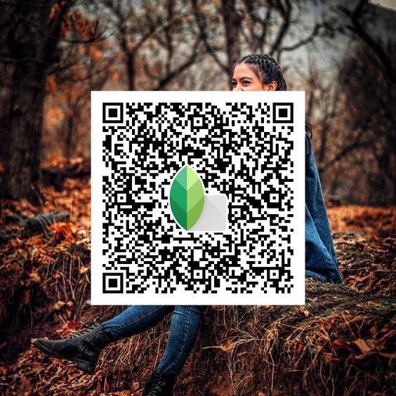 Top 15 Best Snapseed QR Codes & Presets