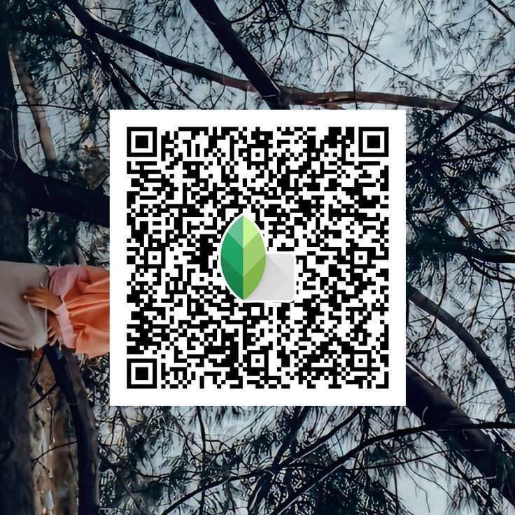 Top 15 Best Snapseed QR Codes & Presets