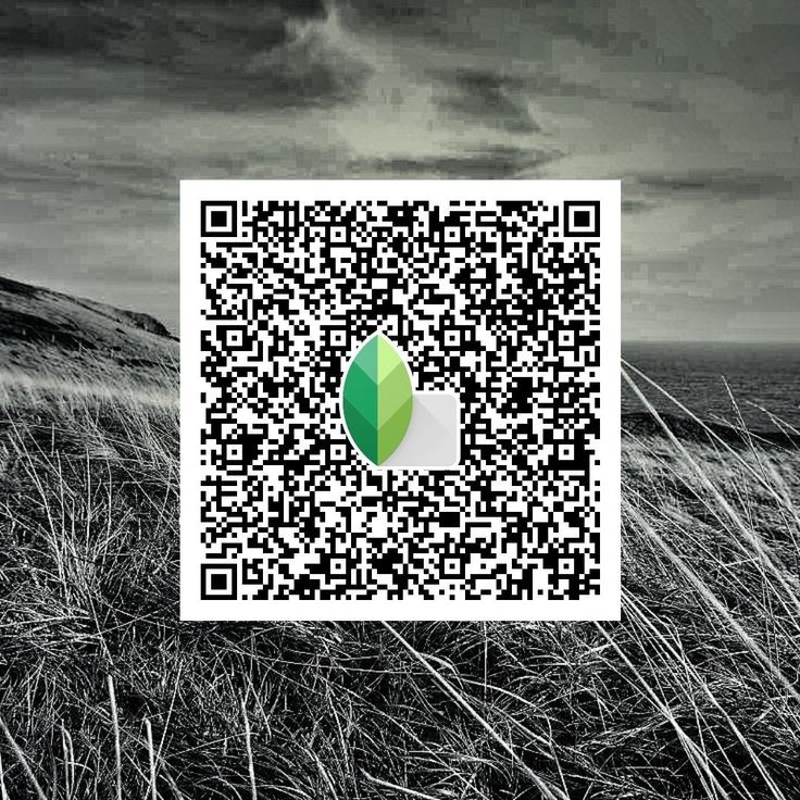 Top 15 Best Snapseed QR Codes & Presets