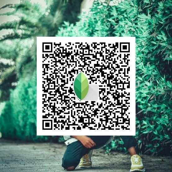 Top 15 Best Snapseed QR Codes & Presets