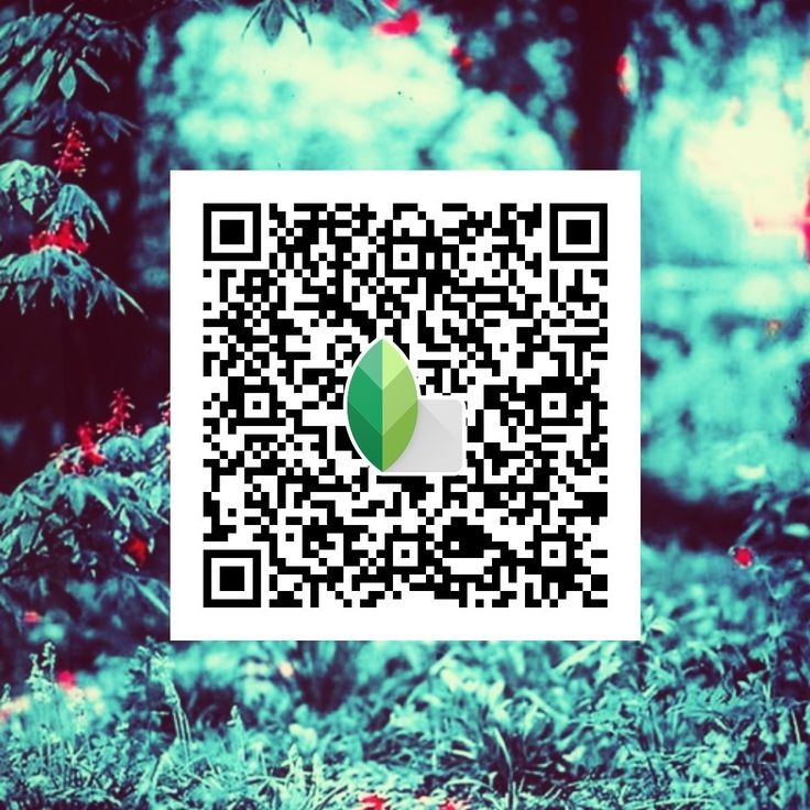 Top 15 Best Snapseed QR Codes & Presets